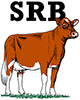 SRB-föreningen Logotyp