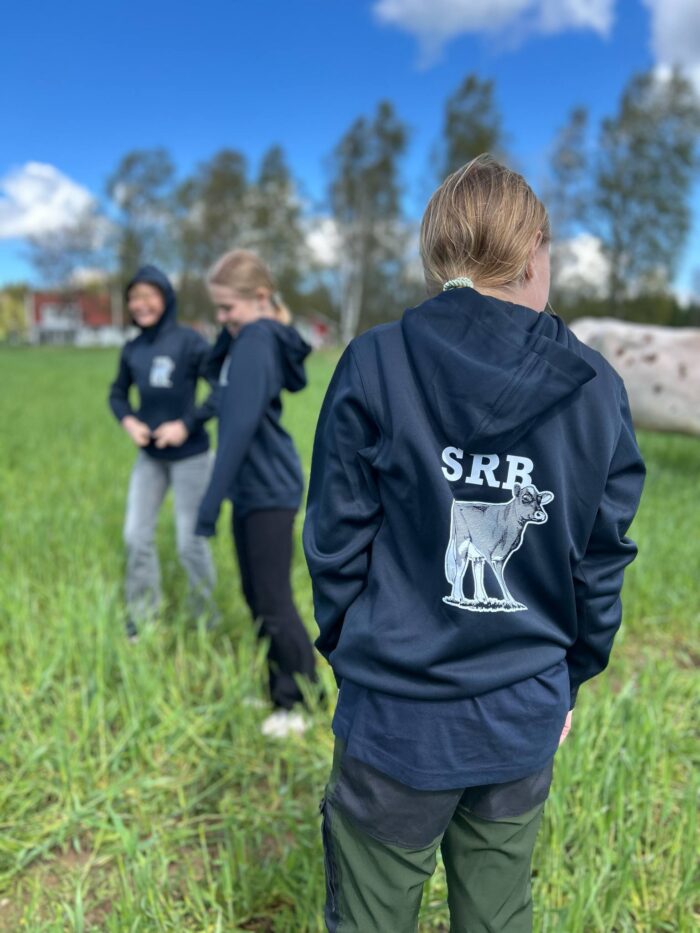 Hoodie utan dragkedja Junior - Bild 3