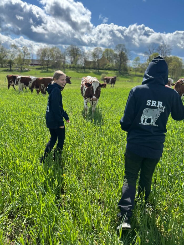 Hoodie utan dragkedja Junior - Bild 4