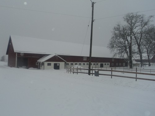 Vår ladugård som det borde se ut så här års. Den här bilden är från julafton 2012.