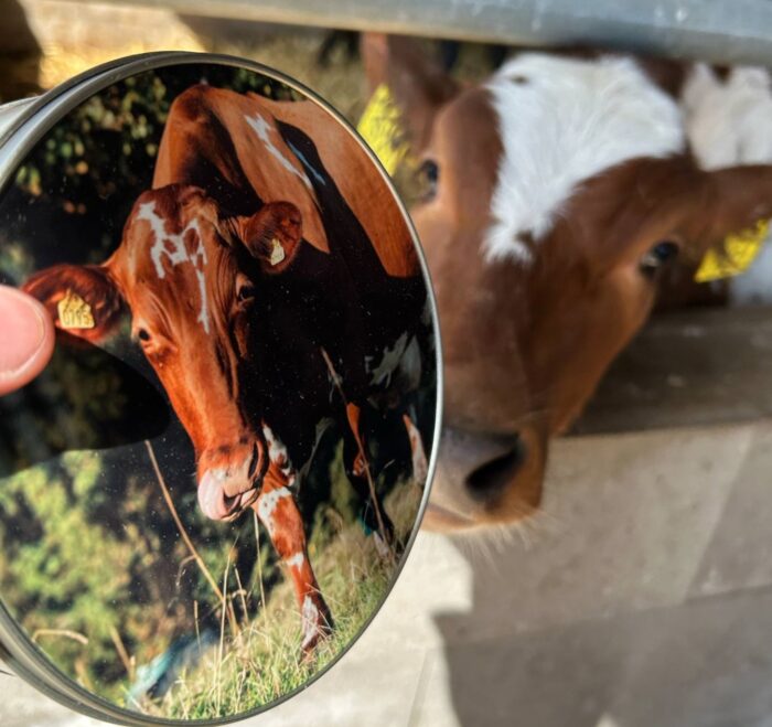 Plåtburk rund liten - Bild 3