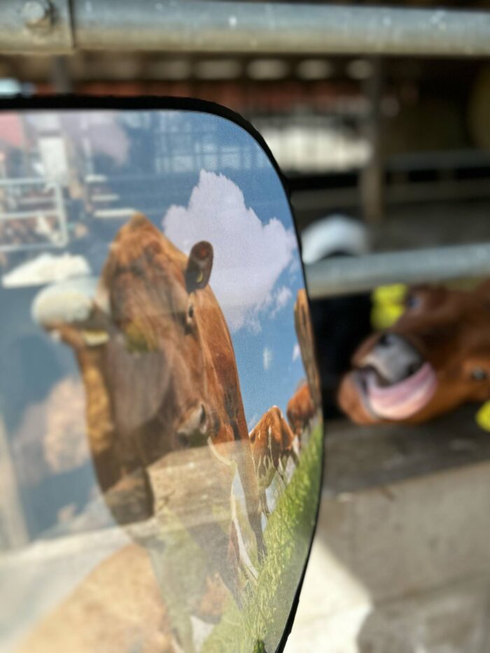 Solskydd - Bild 3