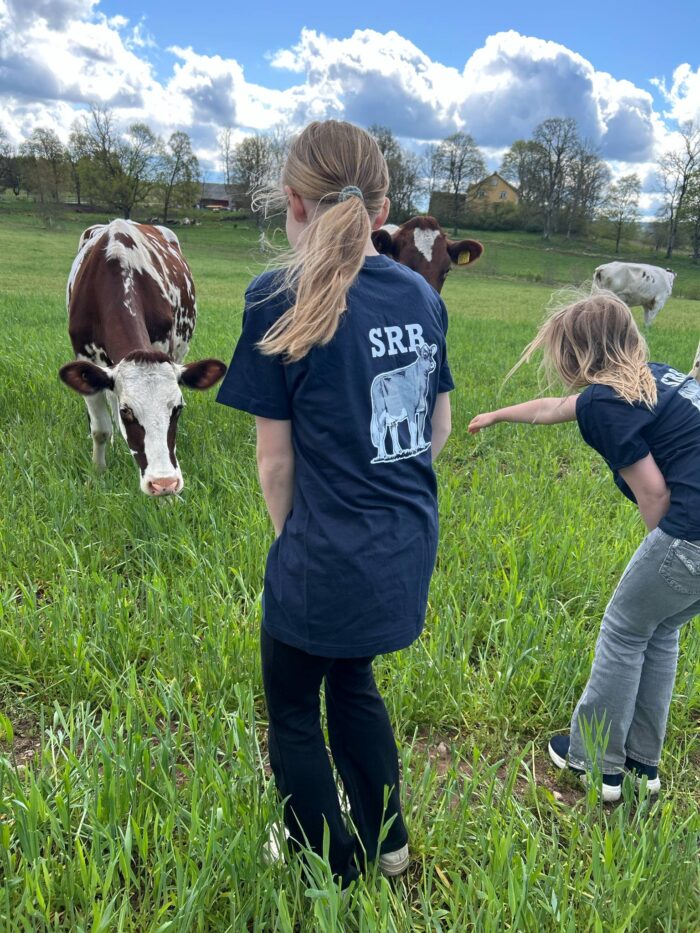 T-shirt Junior - Bild 5