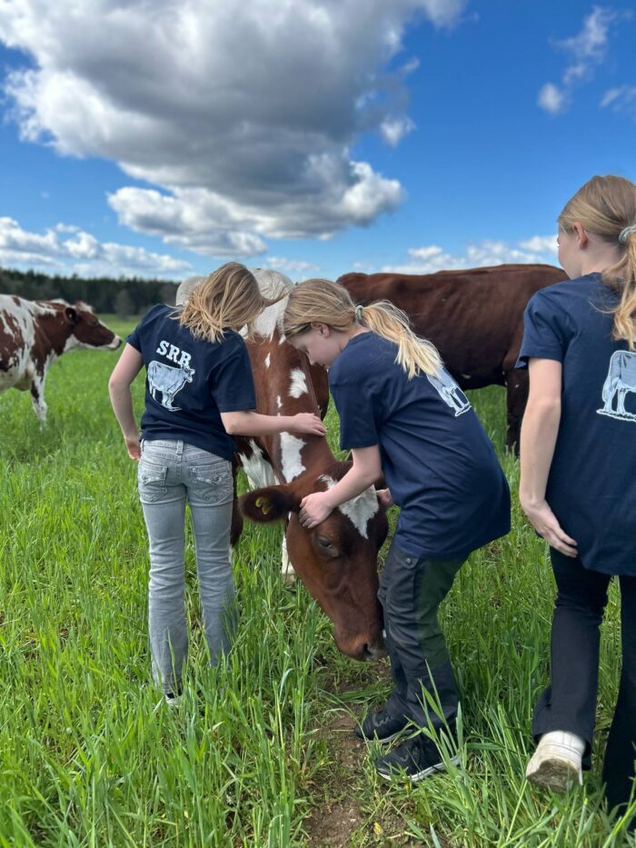 T-shirt Junior - Bild 6